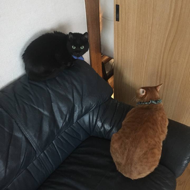 1de741b4 f027 4d30 96ef ebf98038ca39 1551392546642