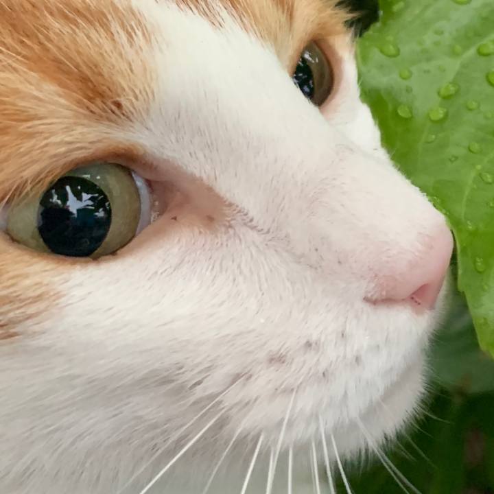 1de74ff4 2875 4b85 bc38 89c6bb81eed4 1628804258291