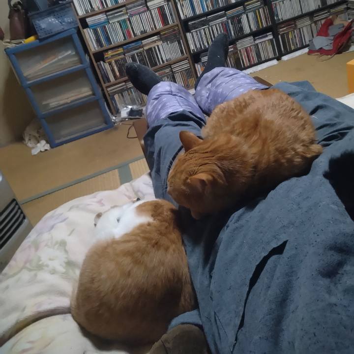 1de756bc 4b94 4e22 b719 0e34afa81cee 1739956900753