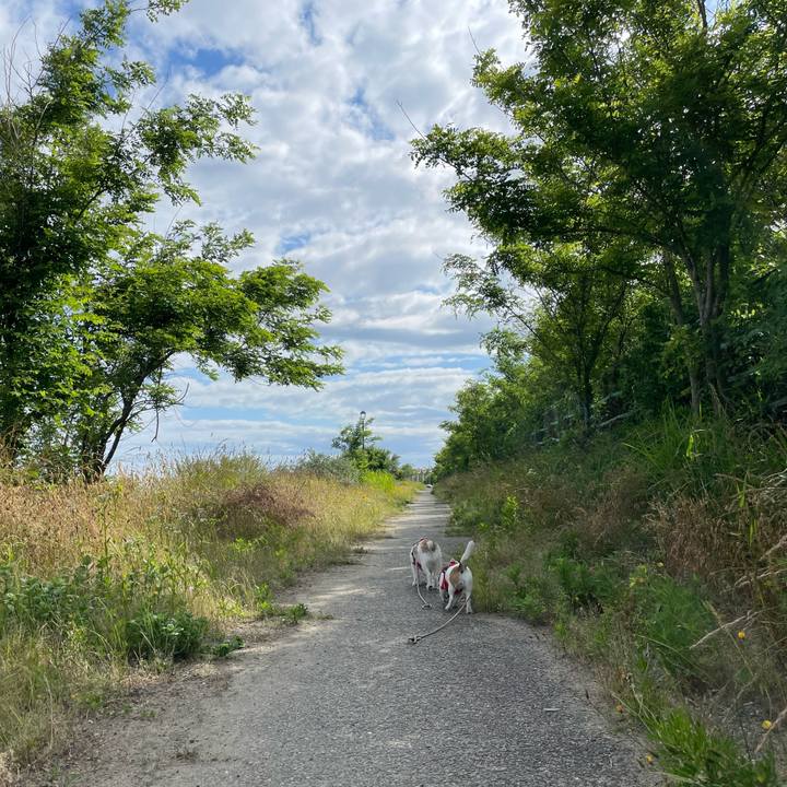 1de76367 a571 4bbf bc50 8490d4803bec 1655078846933