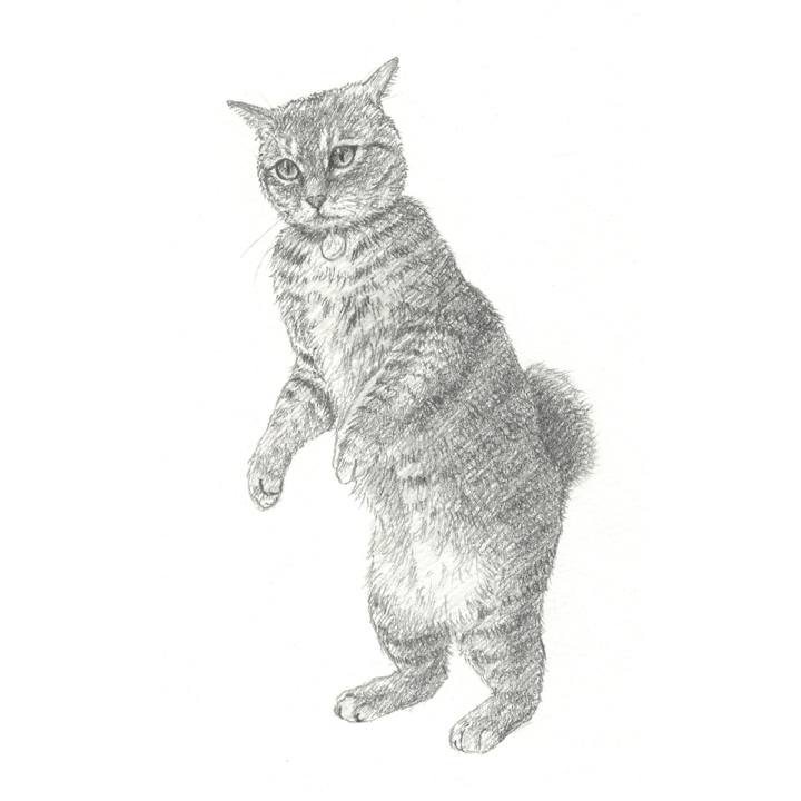 1de76692 e294 476a 80dc d42b236b9db1 1548855367028