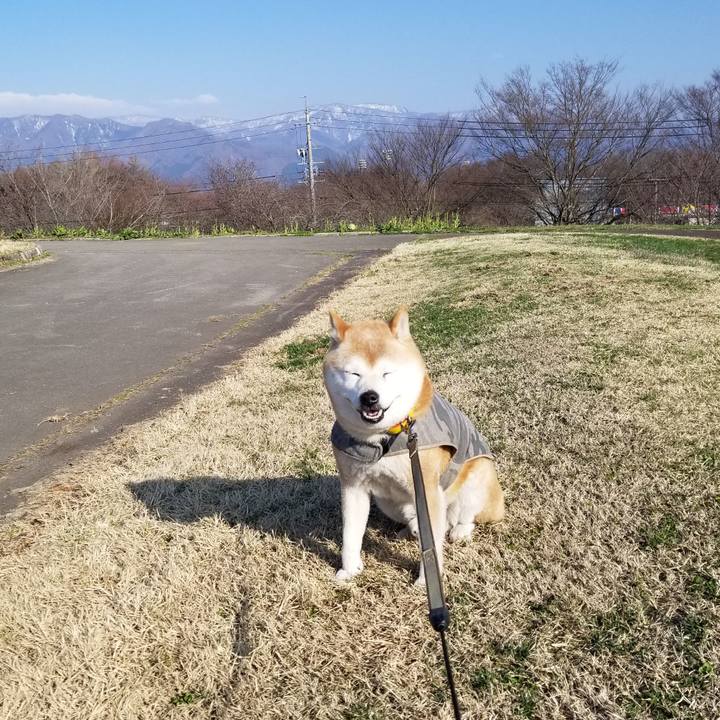 1de79493 6285 4161 a61d 7291ea58c42d 1680332076538