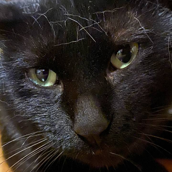 1de79afc 00de 4e83 8777 ae2ea3eb6037 1660728672404