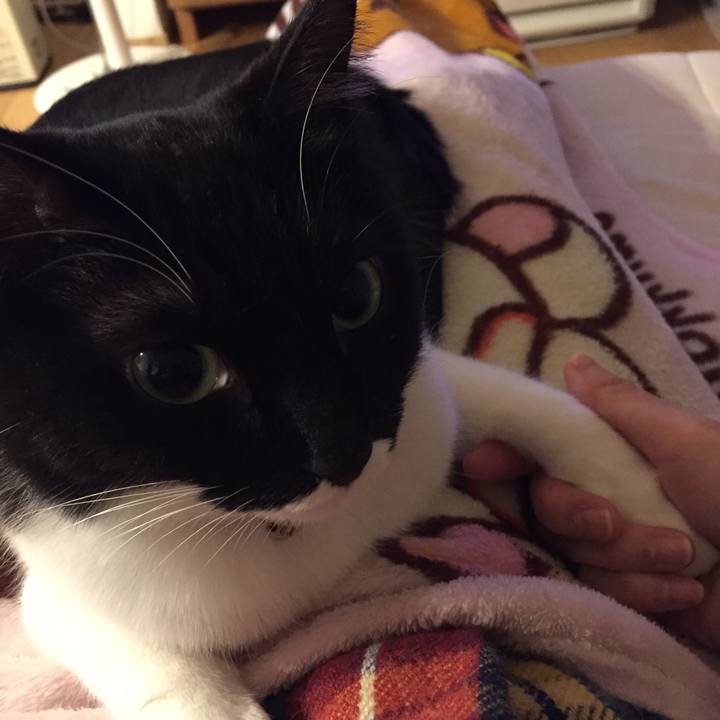 1de7a4f3 7cdb 48d1 912a 36109568c38d 1514306247981