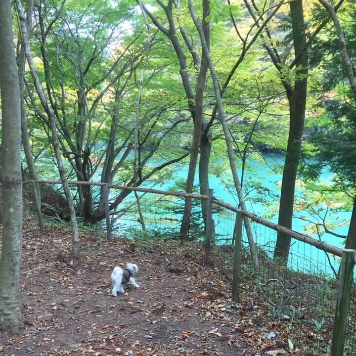 1de7b7a5 e705 452d a107 08b7373ab5f3 1510139219006