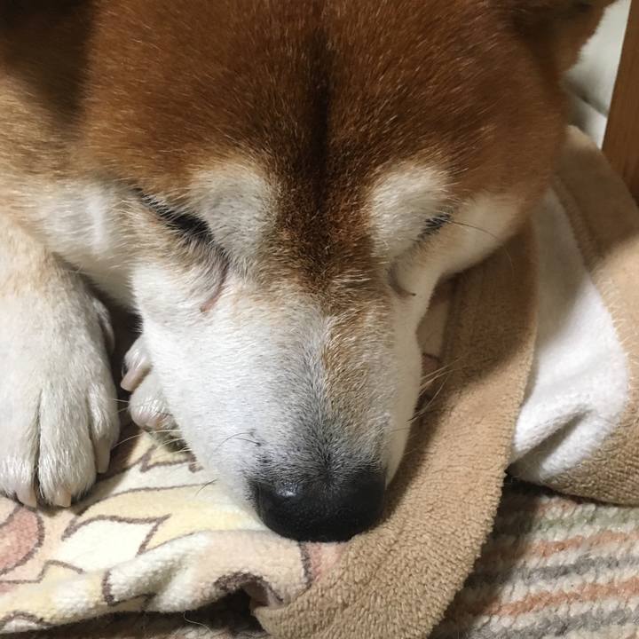 1de7bb03 4b66 4dab 958d 093047a15462 1514209508608