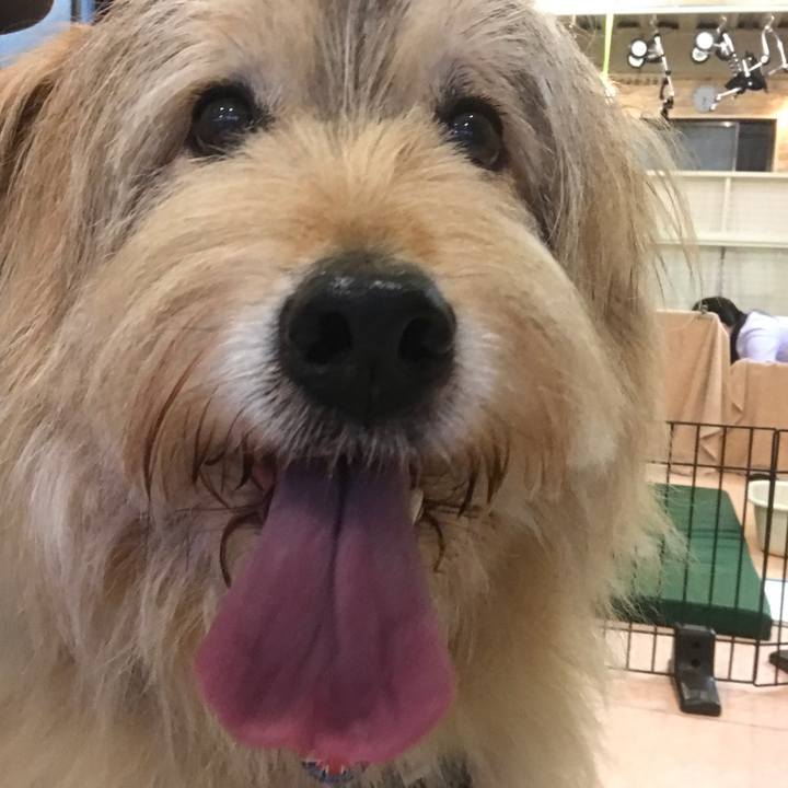 1de7d498 bbde 48a5 ab79 41fbe1c993a2 1652594046820