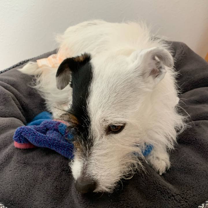 1de7e4a4 1095 44c2 baf6 4264469eb4cc 1649026739931