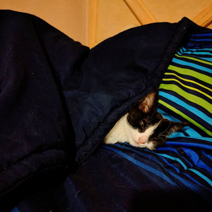 1de7e732 3aa0 465a ba99 32d5d0d34611 1519445288586