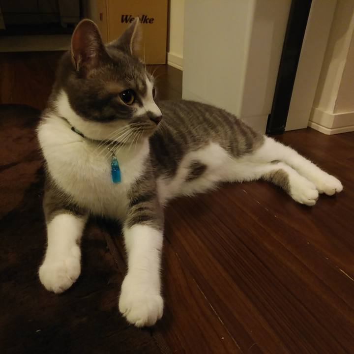 1de7f98f 9279 4137 8f5e 6418ccf8ddd5 1583073795158