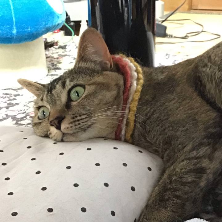 1de80de0 0469 4f03 bd2b 4b9bb1534057 1622849771222