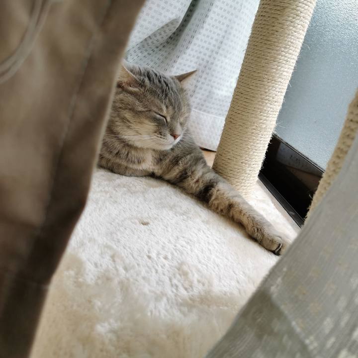 1de83783 6429 46e6 a2a1 28e41bbda907 1624695043558