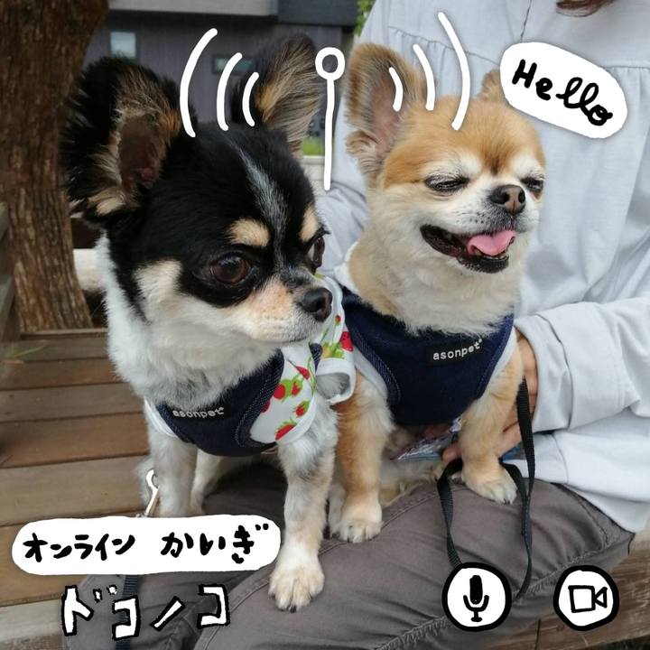 1de83f62 4e0e 48d8 8f1b ad72081d0a93 1590811407373