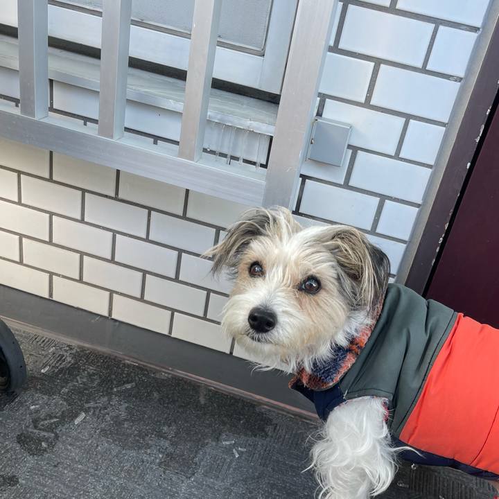 1de840e0 b94f 4a21 8b97 7d73f8811783 1770630905632