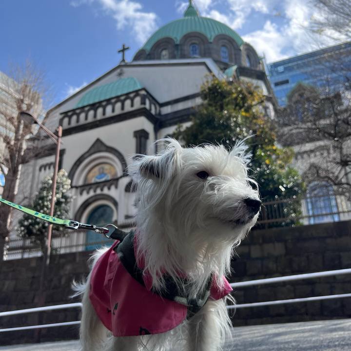 1de8bf78 e79d 49c8 bf20 6acf930e4d36 1743429973495