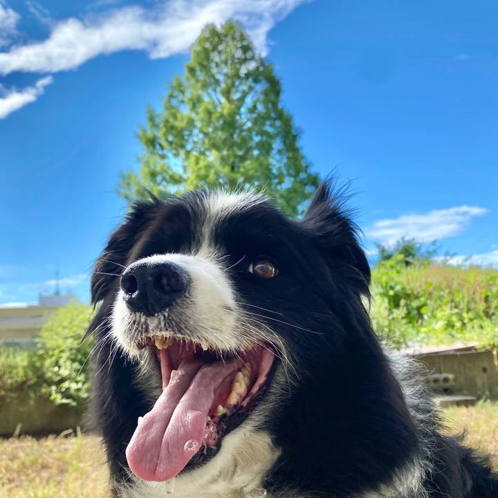 1de8c620 e2e7 4665 8d7e 9cda219c109d 1598402070293