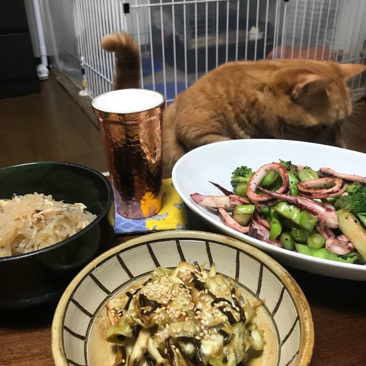 1de8d9e9 8e6d 4daa a458 64053a18796a 1535711478598