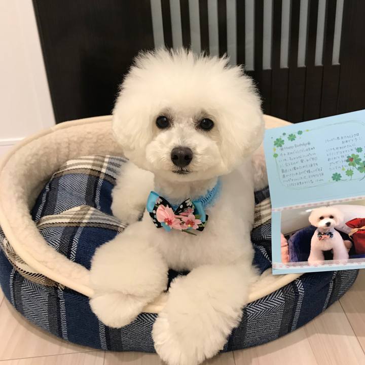 1de908d5 991b 45d8 b1f4 dd8e4f8efba4 1552896130302