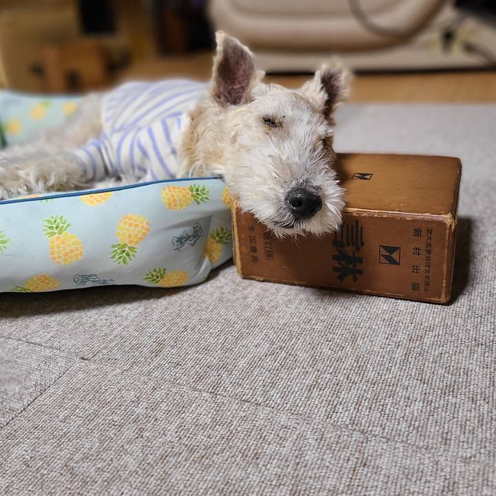 1de920e8 1c74 4551 9156 b9eb7d3936c8 1682429232254