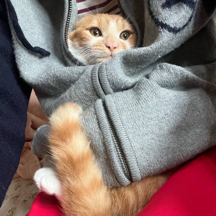 1de95b06 1e35 4561 bdb9 44d726c984a7 1666480535192