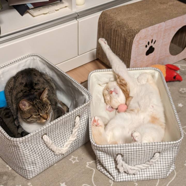 1de983c3 074d 4a35 a968 4d7a8b107f86 1712399069995