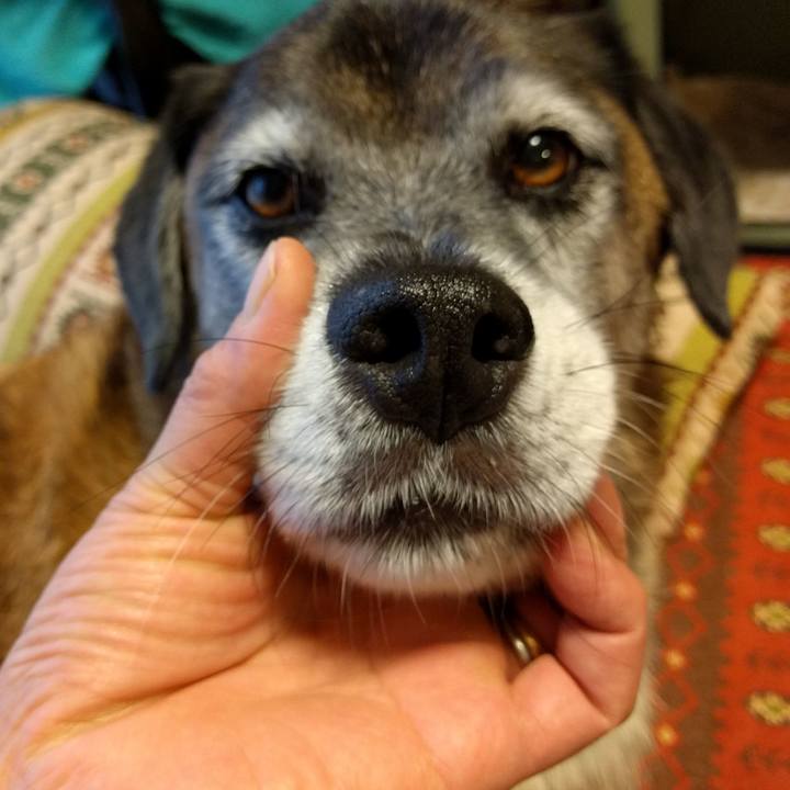 1de9964a a6aa 4737 a8b7 bd903798dbe8 1740790372041