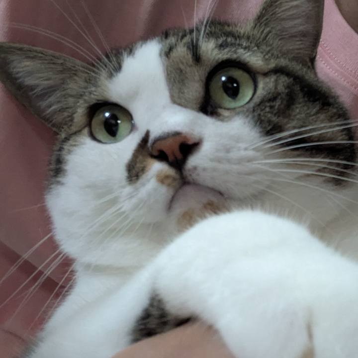 1de99ab0 f1ef 43e1 ad62 2cb484d5027c 1757244653408