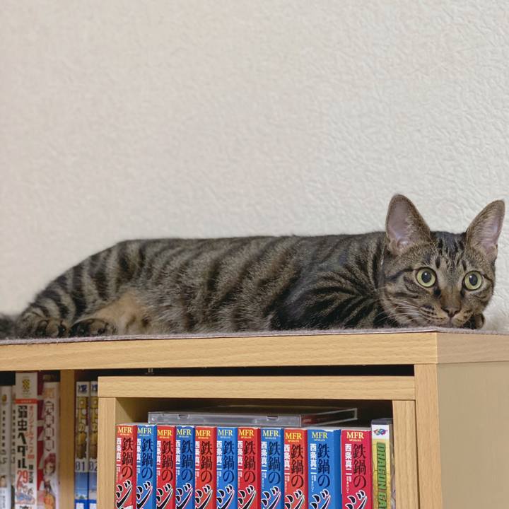 1de9e240 696f 4394 89fa fb949bb0c049 1571763070690