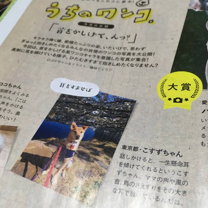 1de9fd11 3e1b 4396 a3ff 20d39f910c18 1566350926308