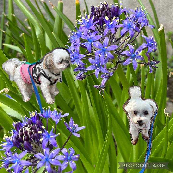 1dea2b44 869f 4424 87eb e3c689a4f37e 1651112585423