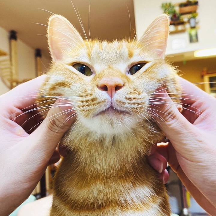 1dea3496 bb24 4290 8f14 8b662666e272 1596195054910