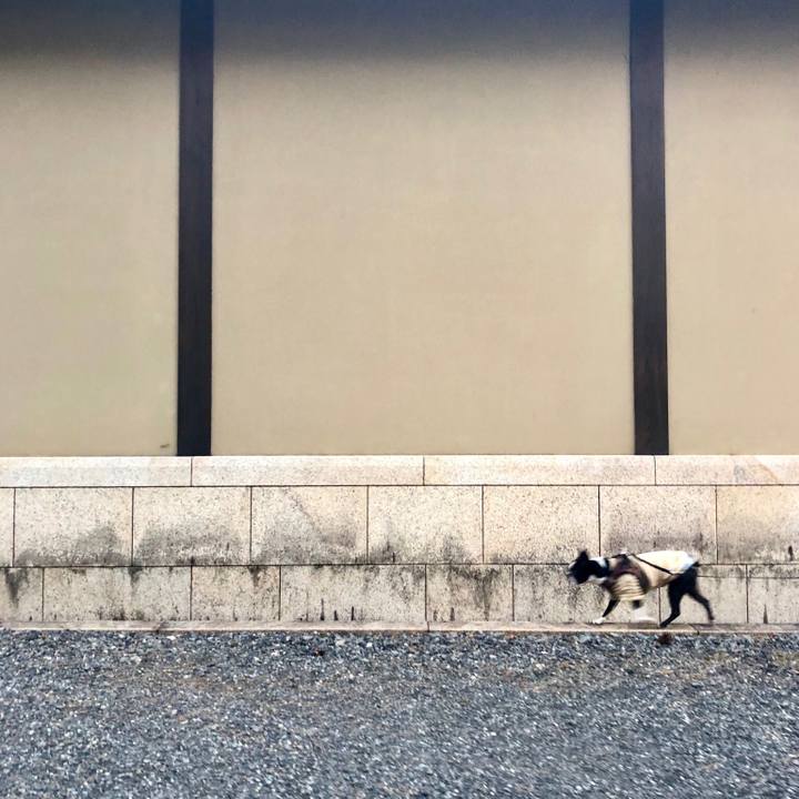 1dea85a3 95ed 4e83 9078 cc8a7cf2bc6f 1543026555415