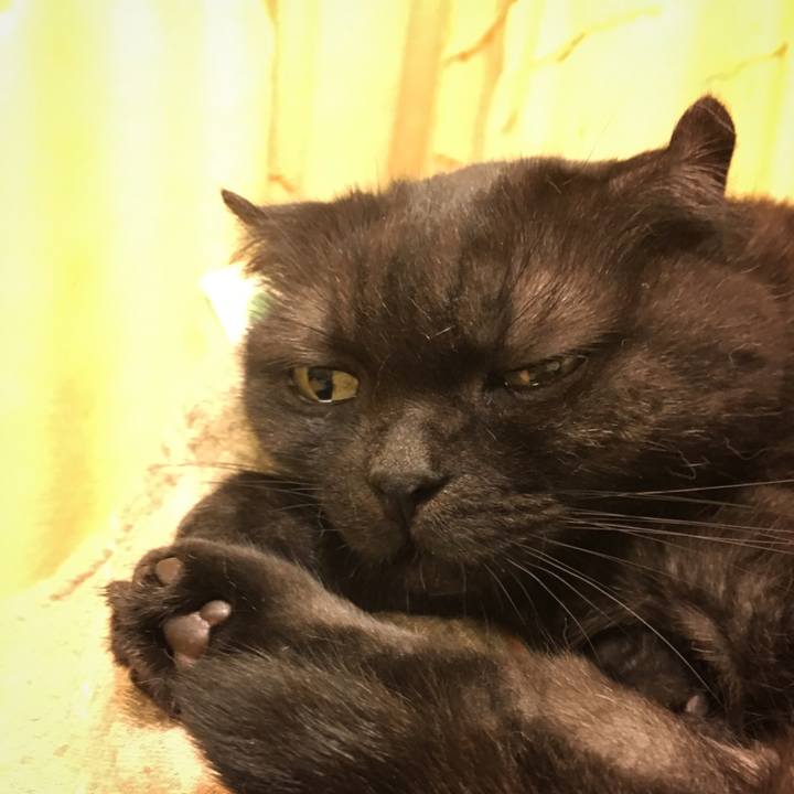 1dea8f5d 55a5 48b9 a445 e271fba873b4 1537962069862