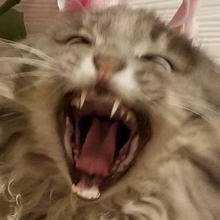 1deaa679 13da 4367 bced cf89ba640377 1578733351927