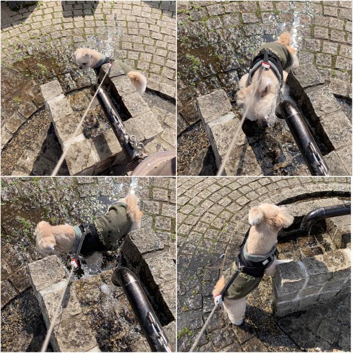 1deaab19 8727 4aed b587 f8b90d9b730a 1552806688306