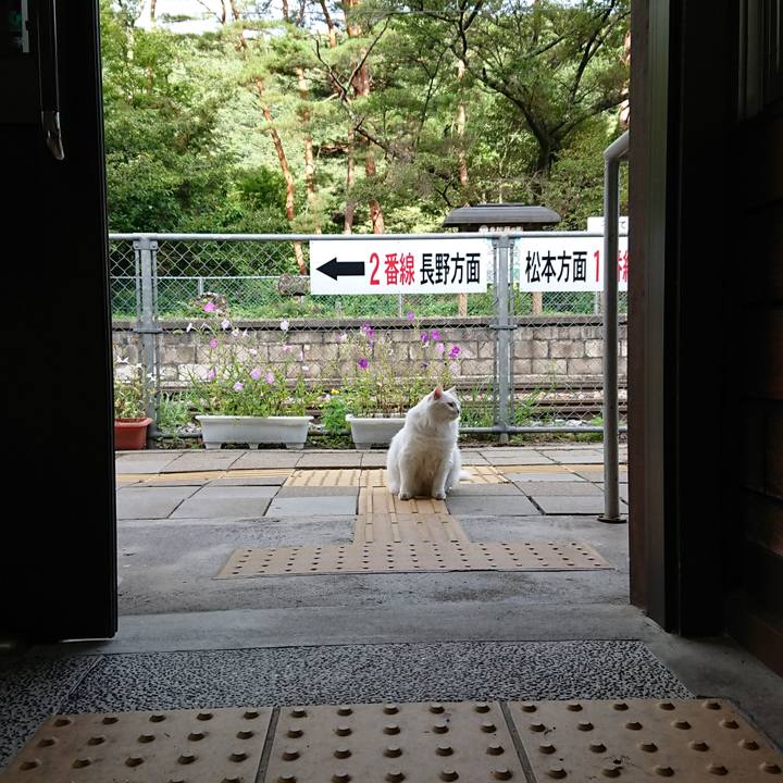 1deaf996 b79f 463d 99fd f0e7470438fd 1536100262988