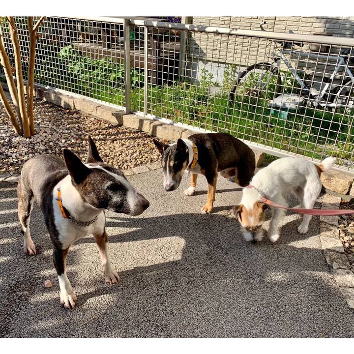 1deb0b2f 82e7 42e9 a597 23c793de49cd 1619139821161