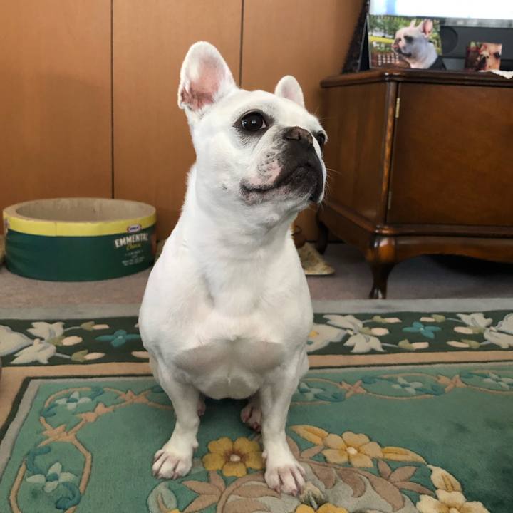 1deb39e2 cbac 4f73 8782 5a04283a0cbb 1620453257933