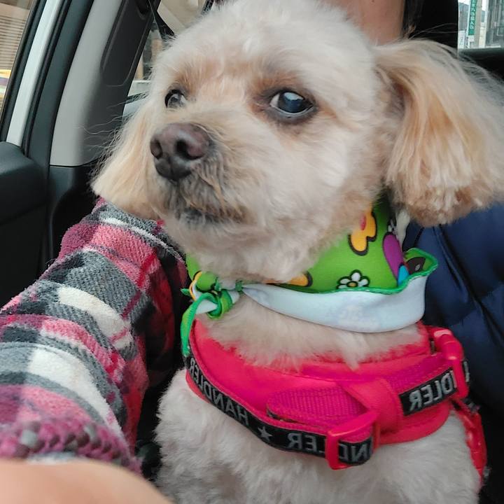 1debd45e 0e0c 4e2c 8b6e 2e27b86229be 1706951627056