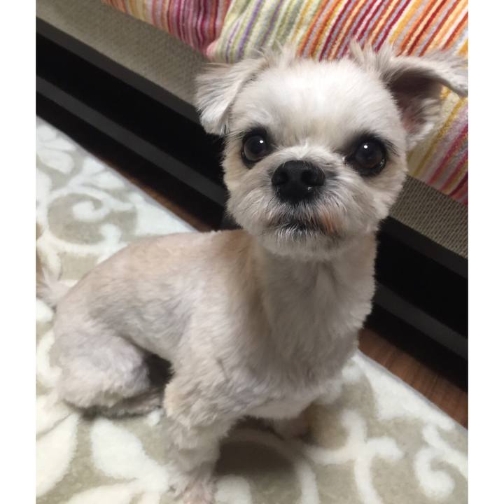 1debdbf1 8872 4e67 baa4 db83a54e0677 1540984130243