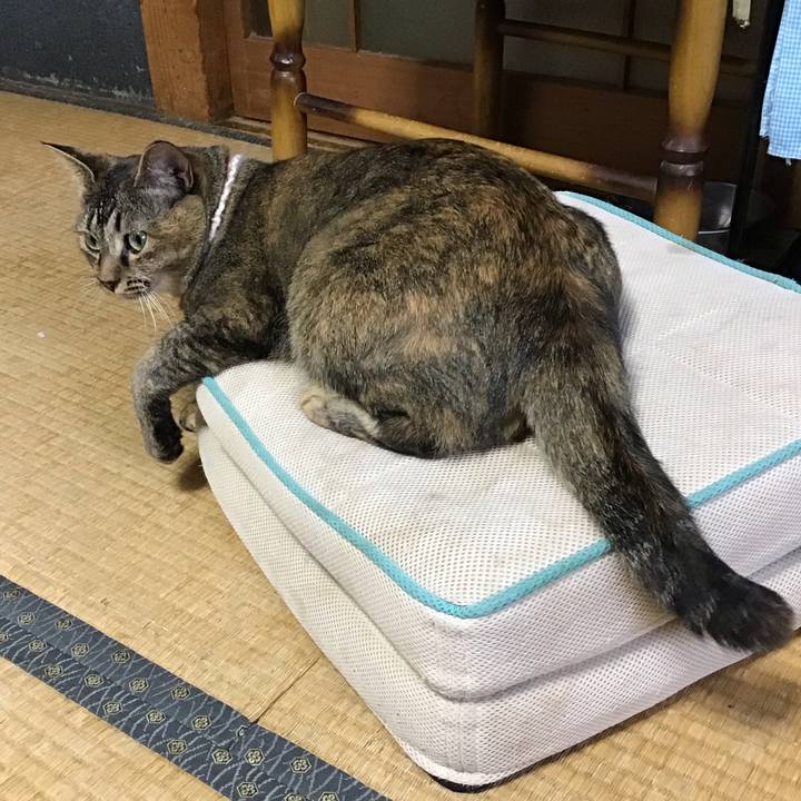 1debe170 7736 4c13 ba45 276d6e0b8658 1659268466078