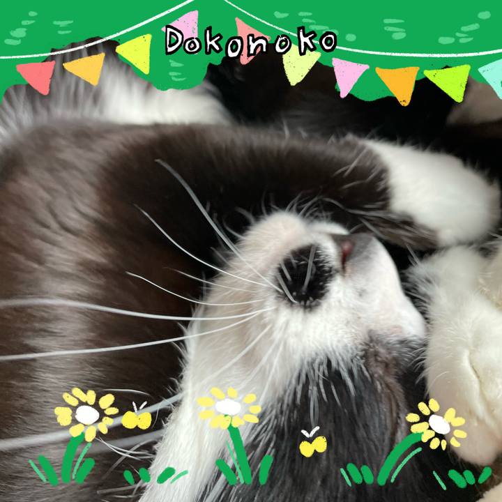 1dec0829 9548 47e8 aeff 10deac0506bb 1711156519920