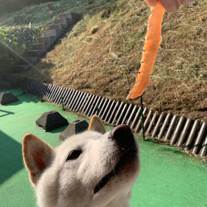 1dec3abe cbd4 44ca 9652 f162f835810a 1562622869432