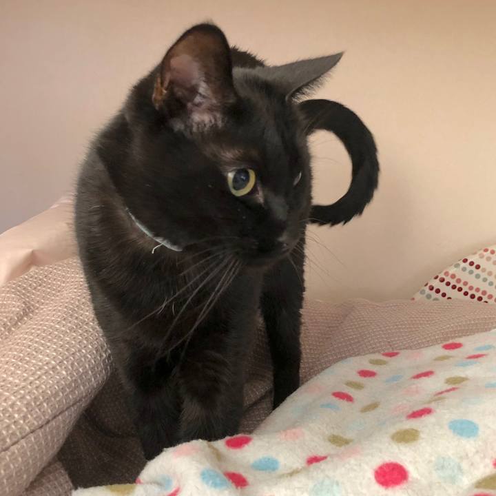 1decf804 bb9d 457f aa9d fbcf2bd6e90e 1576374402119