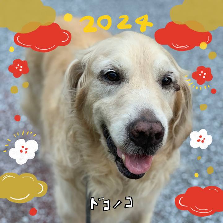 1ded1258 03e4 4233 89ea 273dddf61708 1704623827008