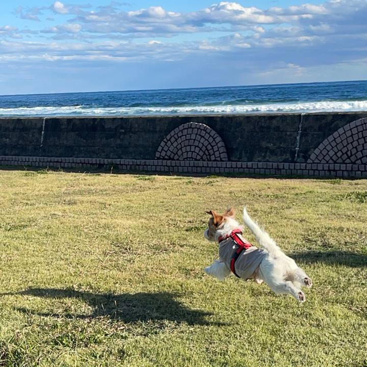 1ded1cbd 0ede 4f51 b969 4948960e12c6 1764853472394