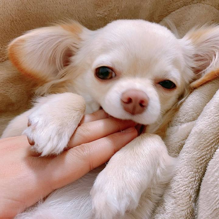 1ded2e4c 4401 4bdf bb7b 2f34cca5d3e2 1611899347630