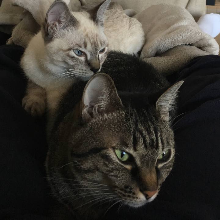 1ded4af0 4d12 4a7a 9778 7bec25b11334 1541314090816