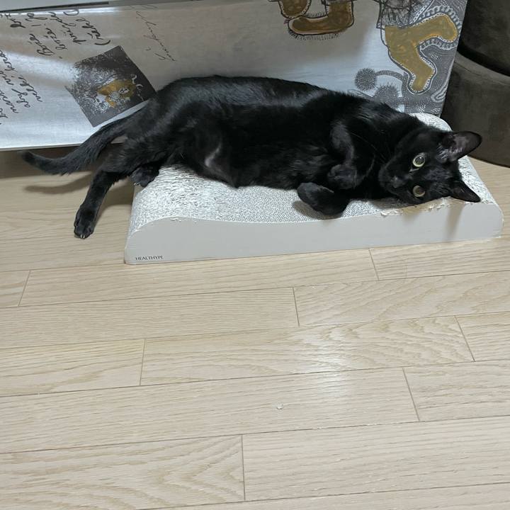 1ded5409 32d9 485b 82c6 8bc6ad14fdfc 1693046639102