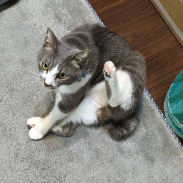 1ded592e 6e12 4290 ba47 9904c2d4d3a9 1737118686803